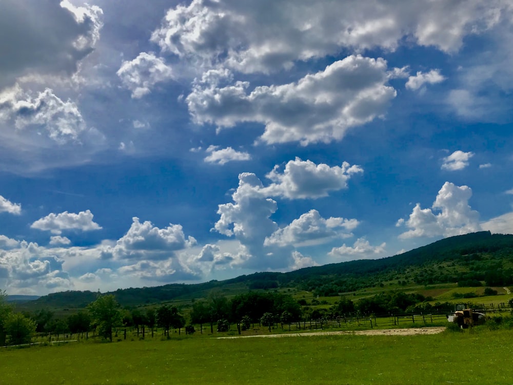 trees growing at the plains during daytime