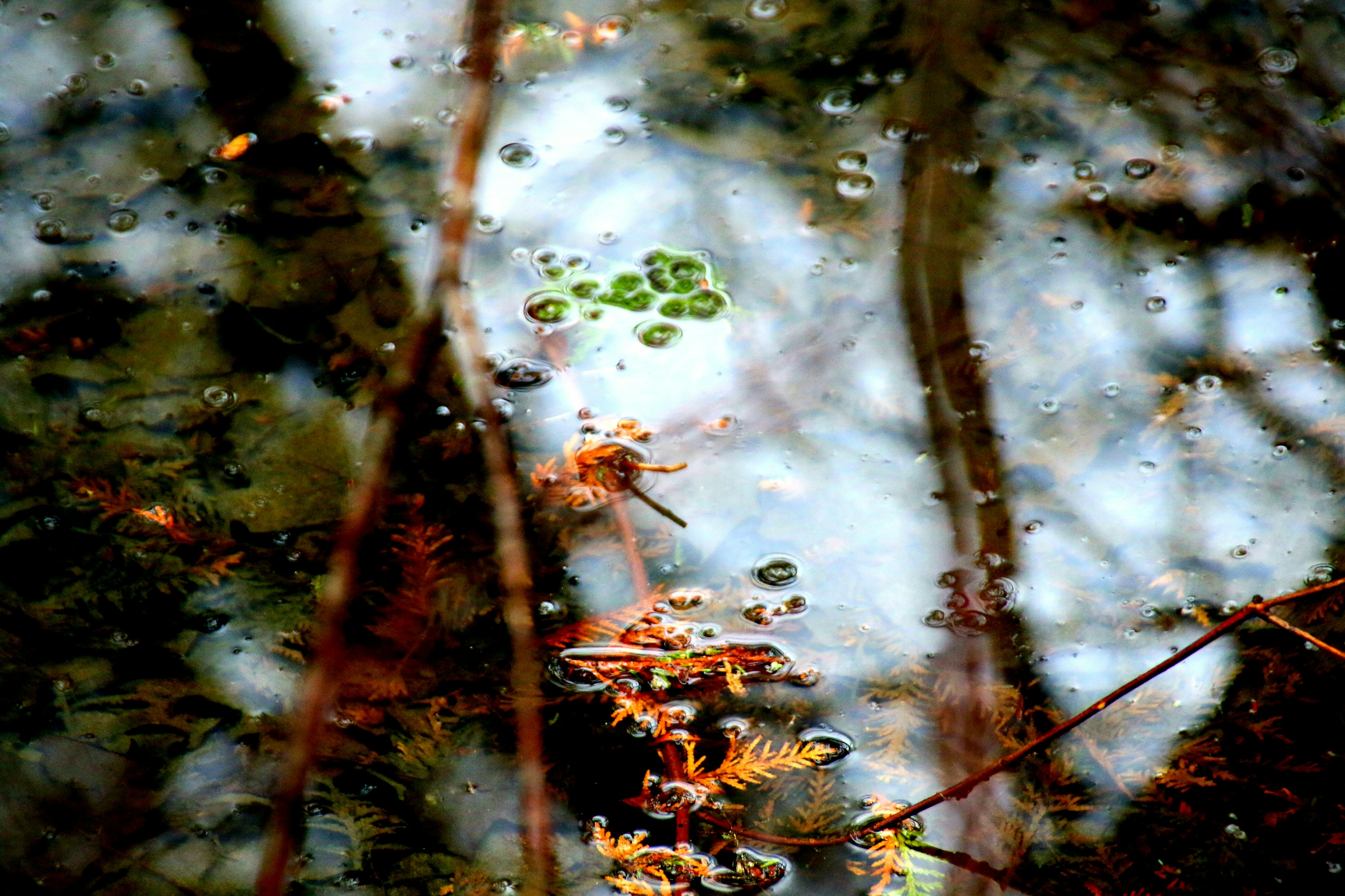 Photo by richardworks