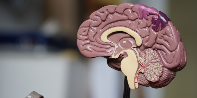 Regenerative Medicine: The Future Is Here