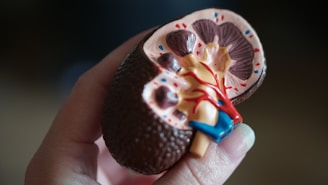 insuficiencia renal