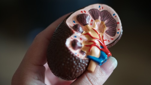insuficiencia renal