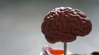 "How the Gut-Brain Axis Impacts Anxiety, Depression, and IBS Management"