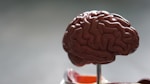 Behavioral Coaching