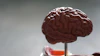 Nutritionists Dubai