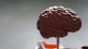 Expert nutrition consultation