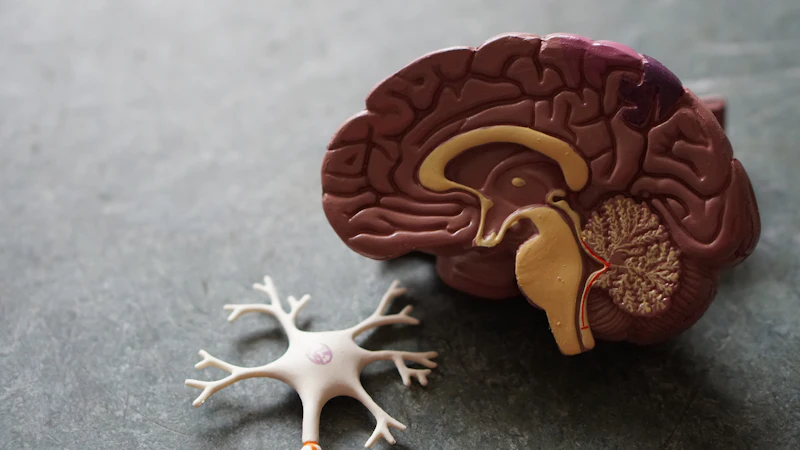 Stroke rehabilitation physiotherapy Bangalore — neurophysiotherapist assisting post-stroke patient at Pro Physiotherapy