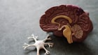 Scanner Cuántico Bioeléctrico PreviqScan análisis de salud
