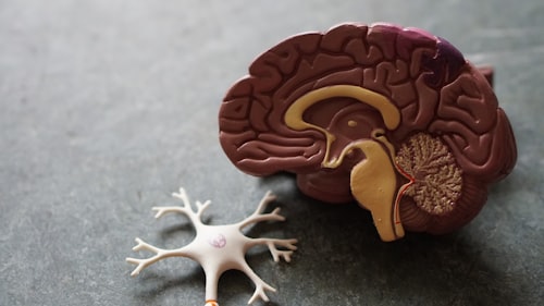 Brain Health