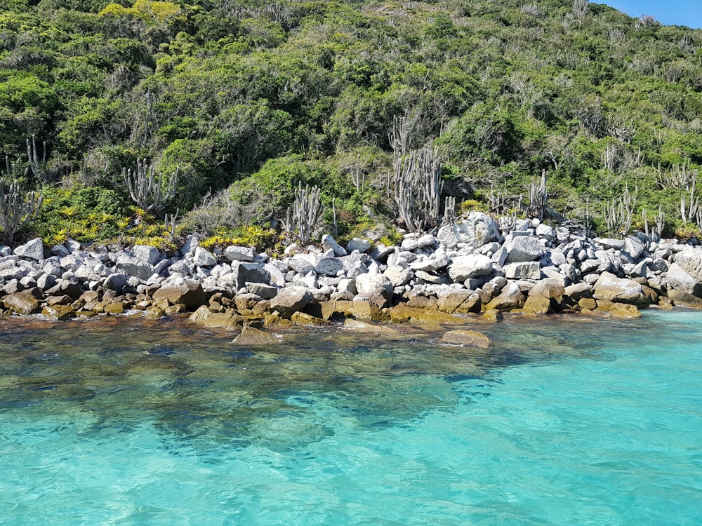 foto di paesaggio di rocce circondate da specchio d'acqua