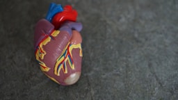 "Is Fitness Enough to Protect Your Heart? Discover the Hidden Risks and Prevention Tips
