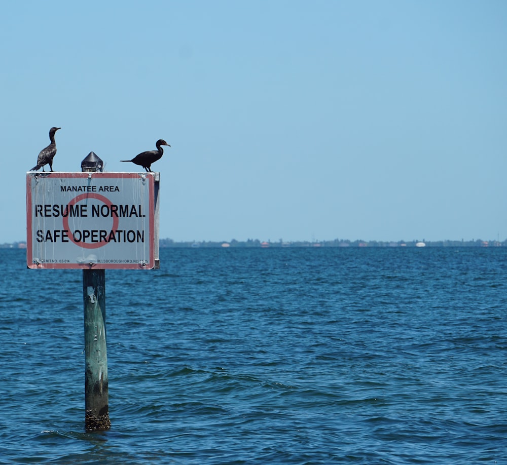 Pájaros en la señalización