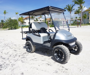 gray and white golf cart