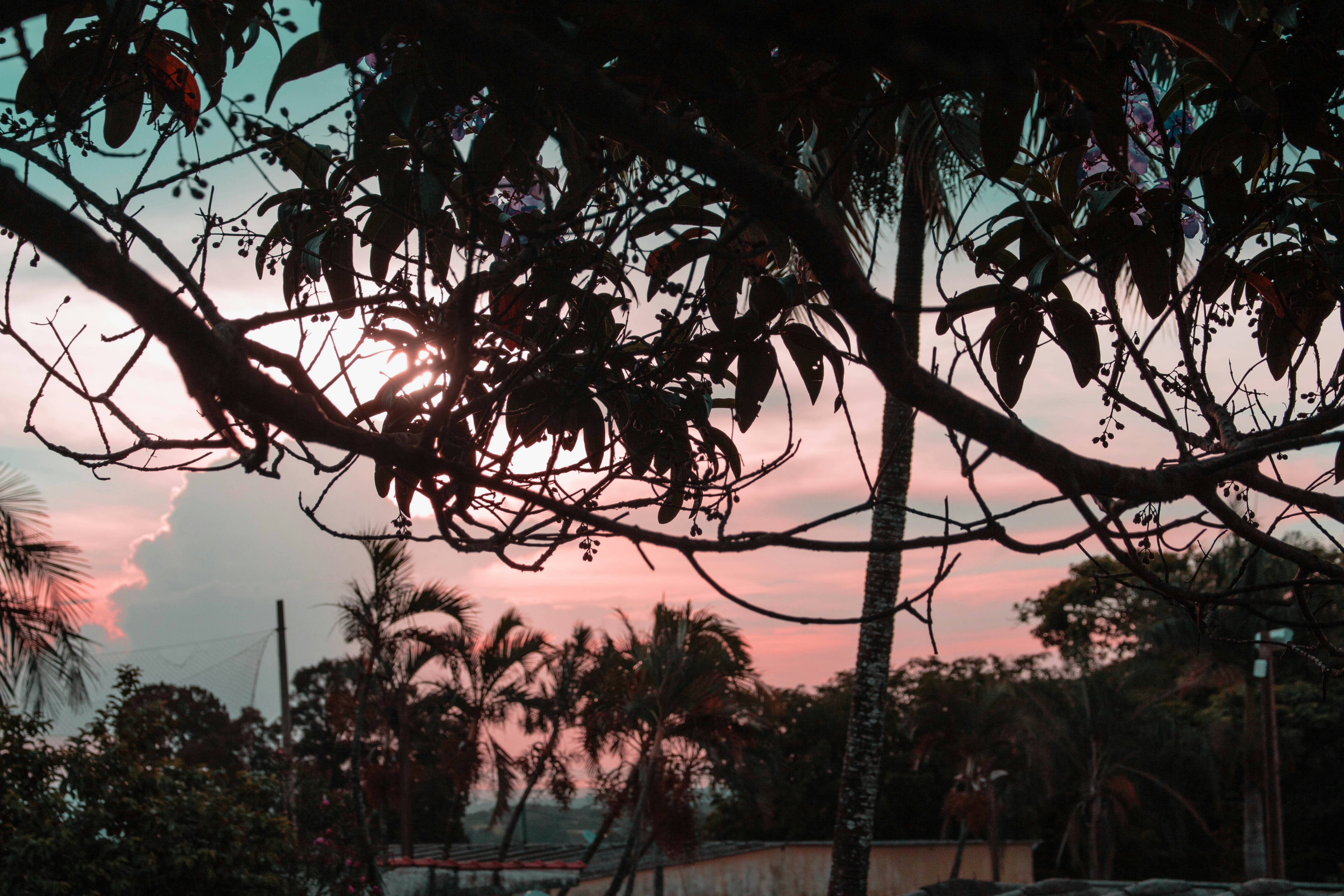 Photo by jonatas_daniel