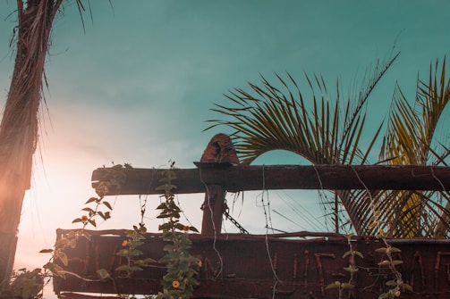 A rustic wooden signboard with 'Contact Us' painted in western style, set against a sunset background.