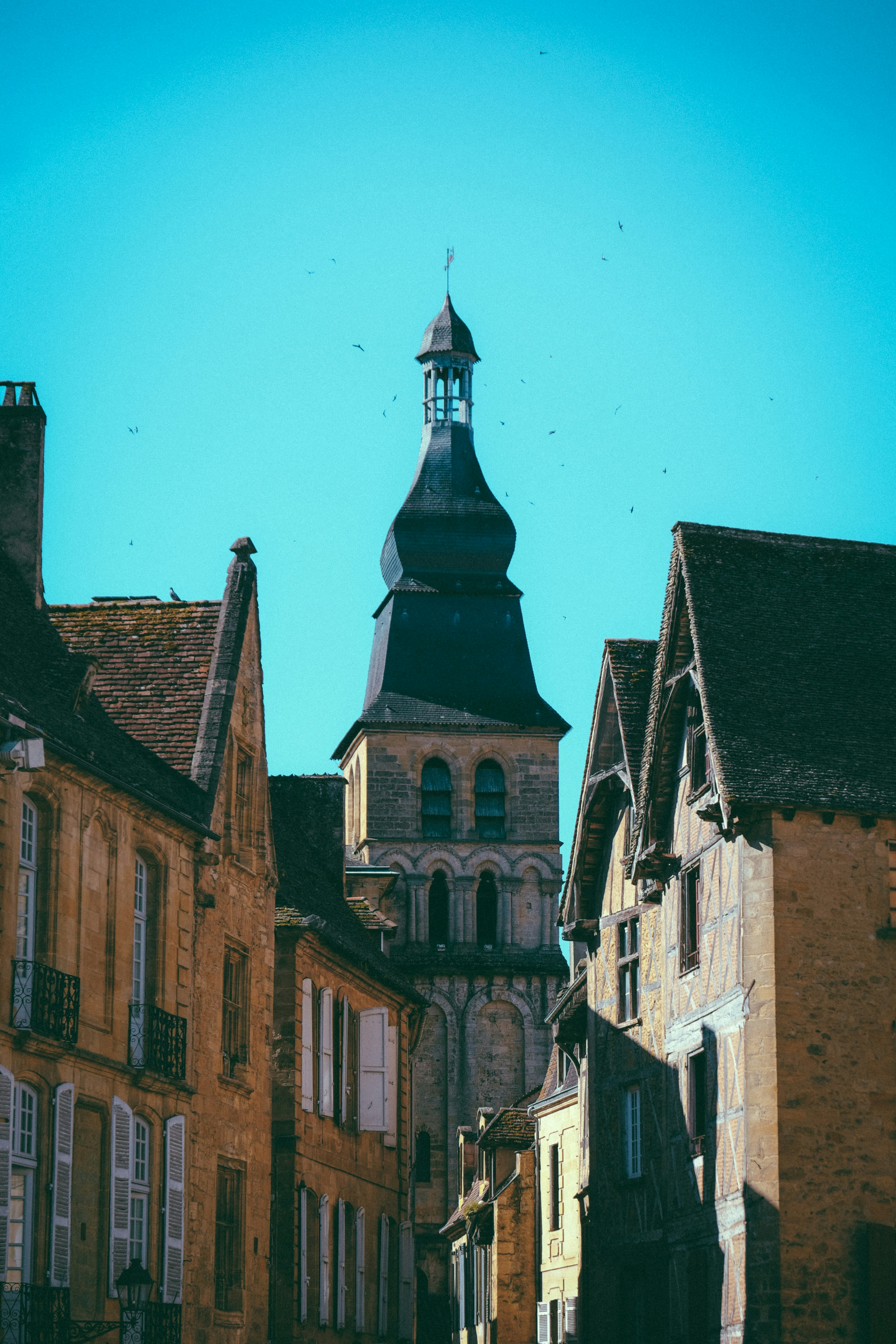 Photo by francesco_ungaro