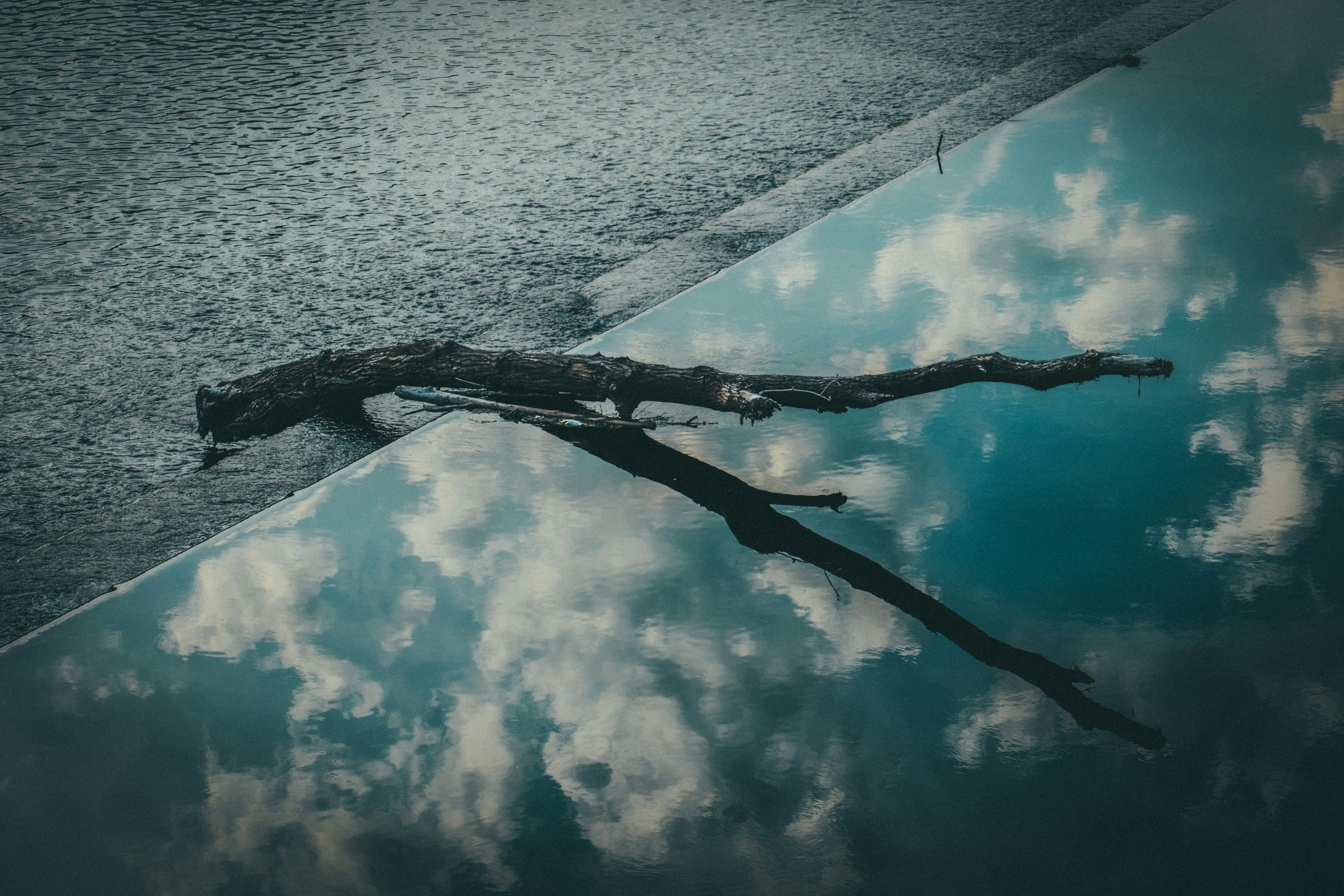 Photo by francesco_ungaro