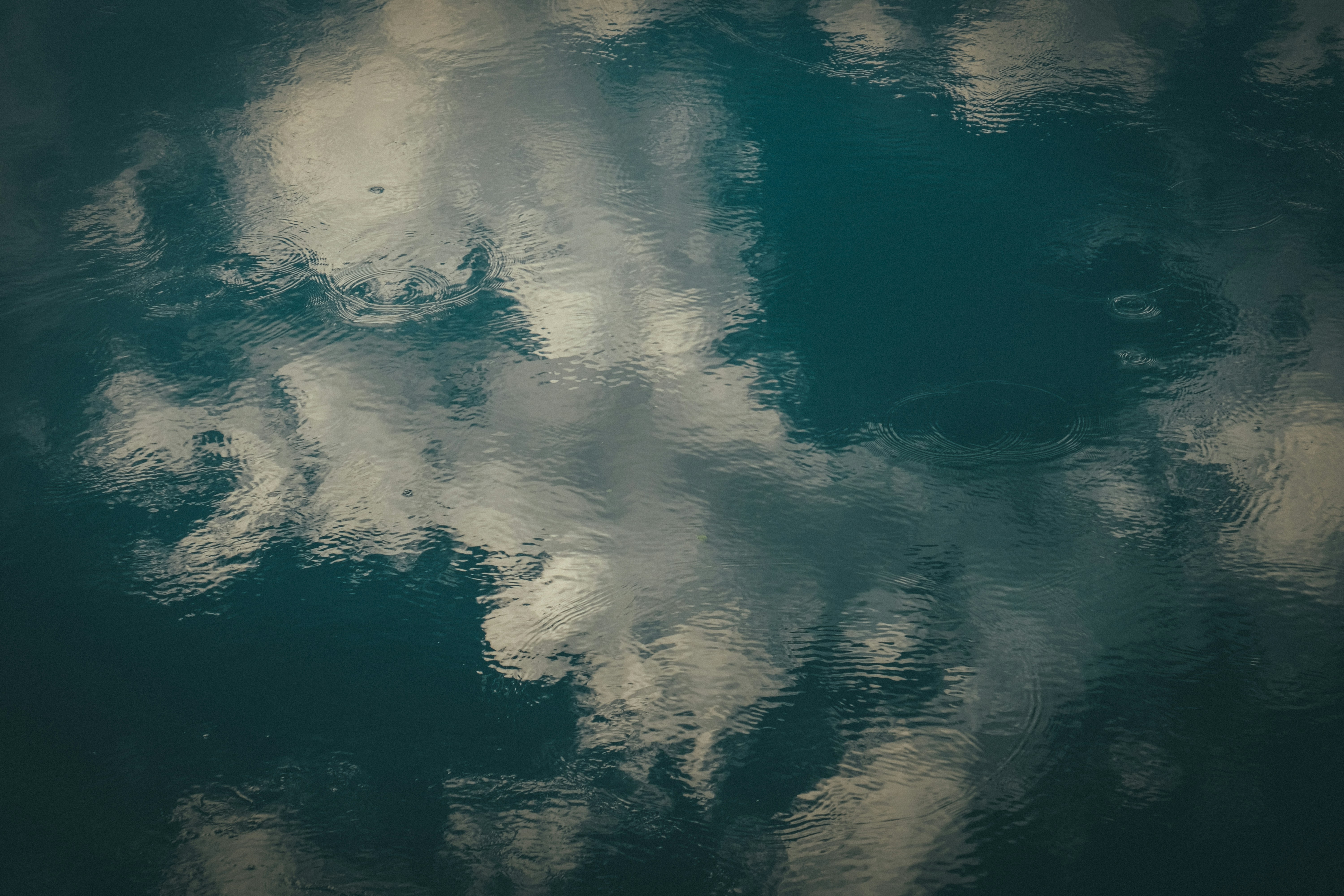 Photo by francesco_ungaro