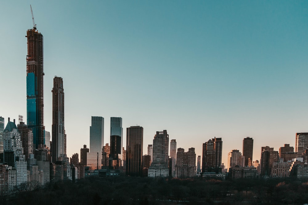 aerial photography of buildings under blue sky