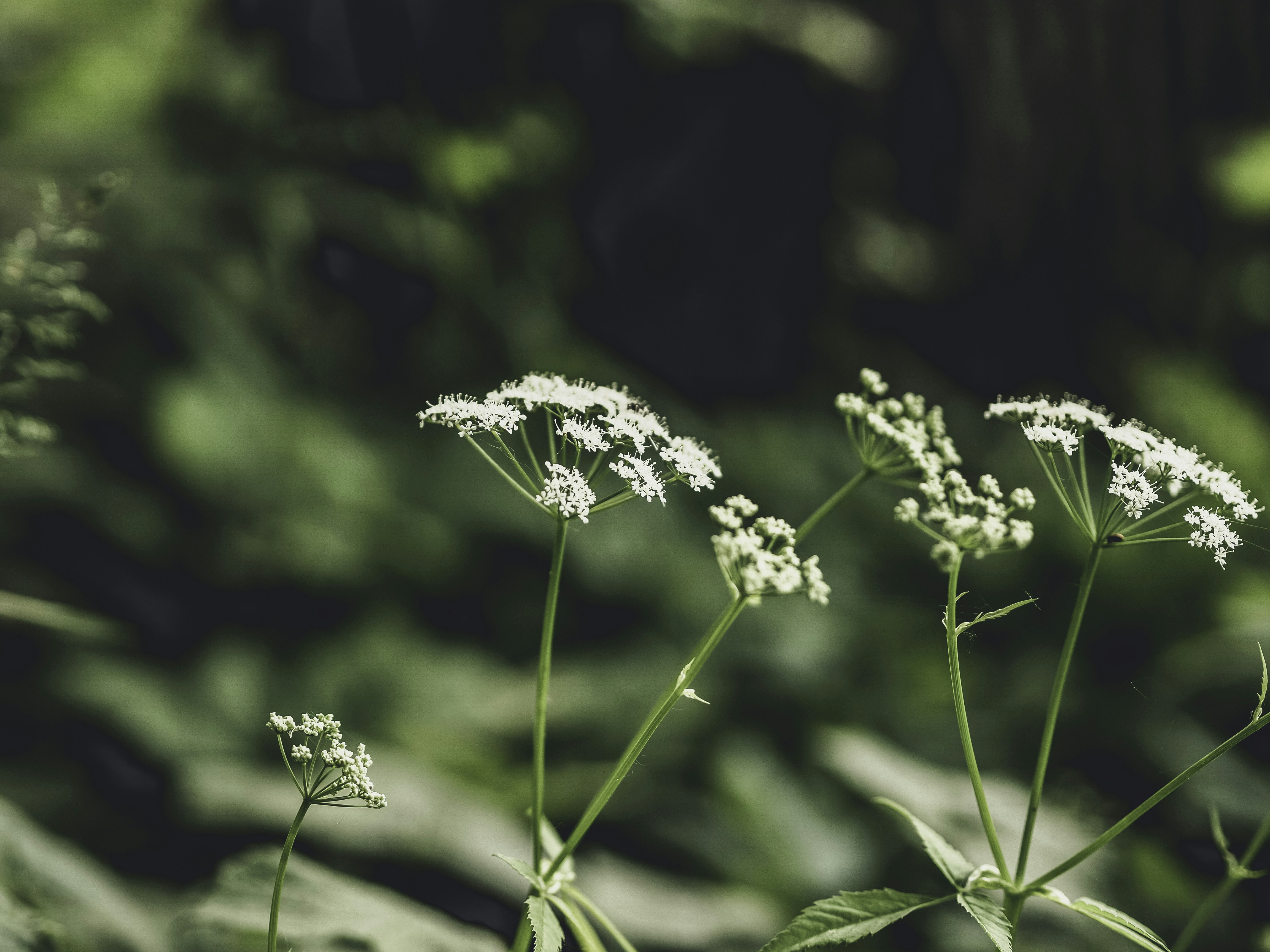 Photo by milandegraeve