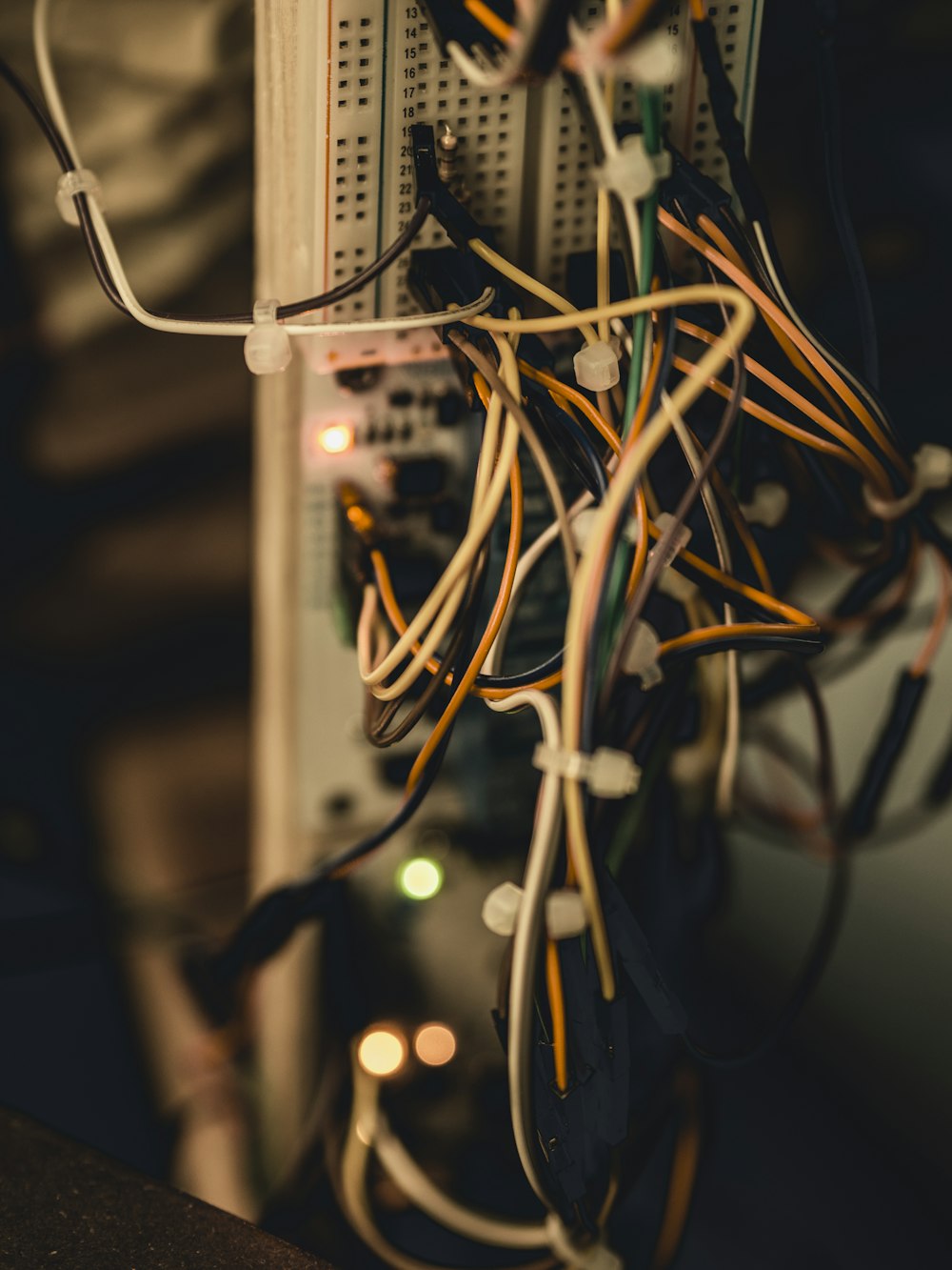 brown and white coated wires