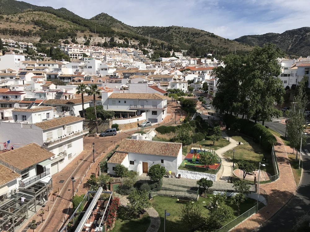 white concrete houses