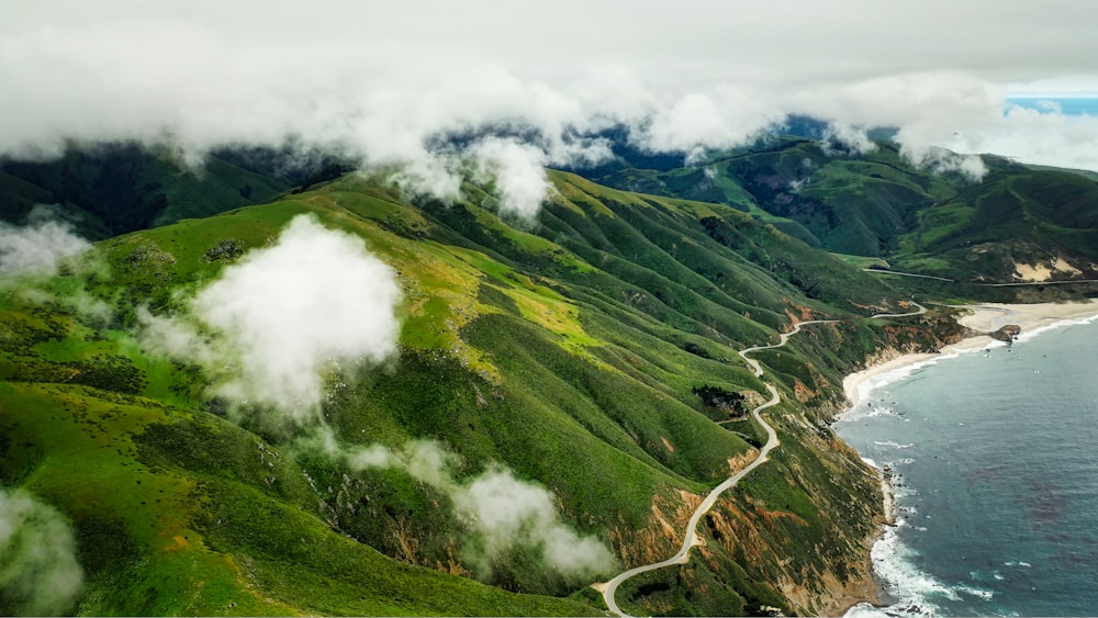 landscape photography of green trees