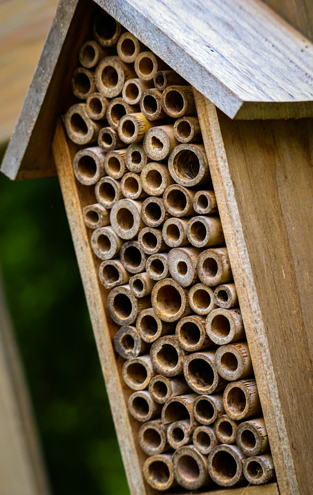 maison en bois marron