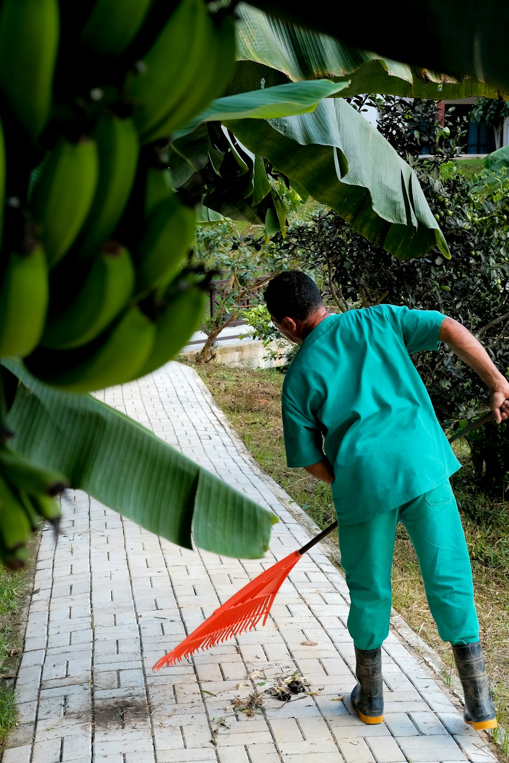 Hombre limpiando la pasarela con un rastrillo naranja durante el día