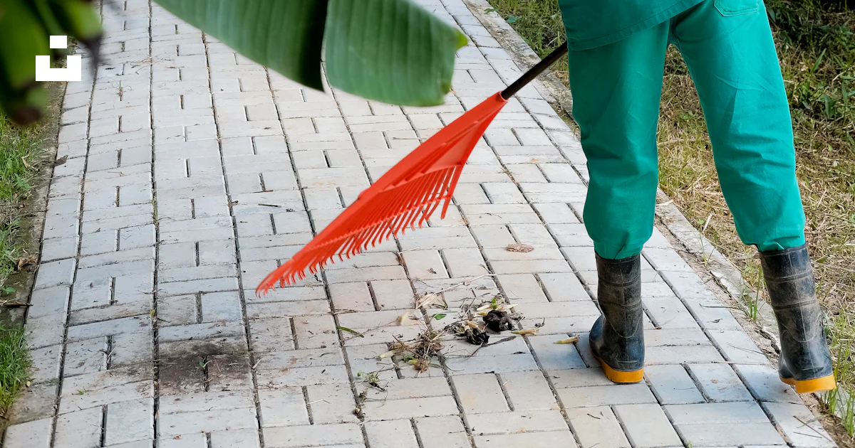 Man cleaning walkway using orange rake during daytime photo – Free ...