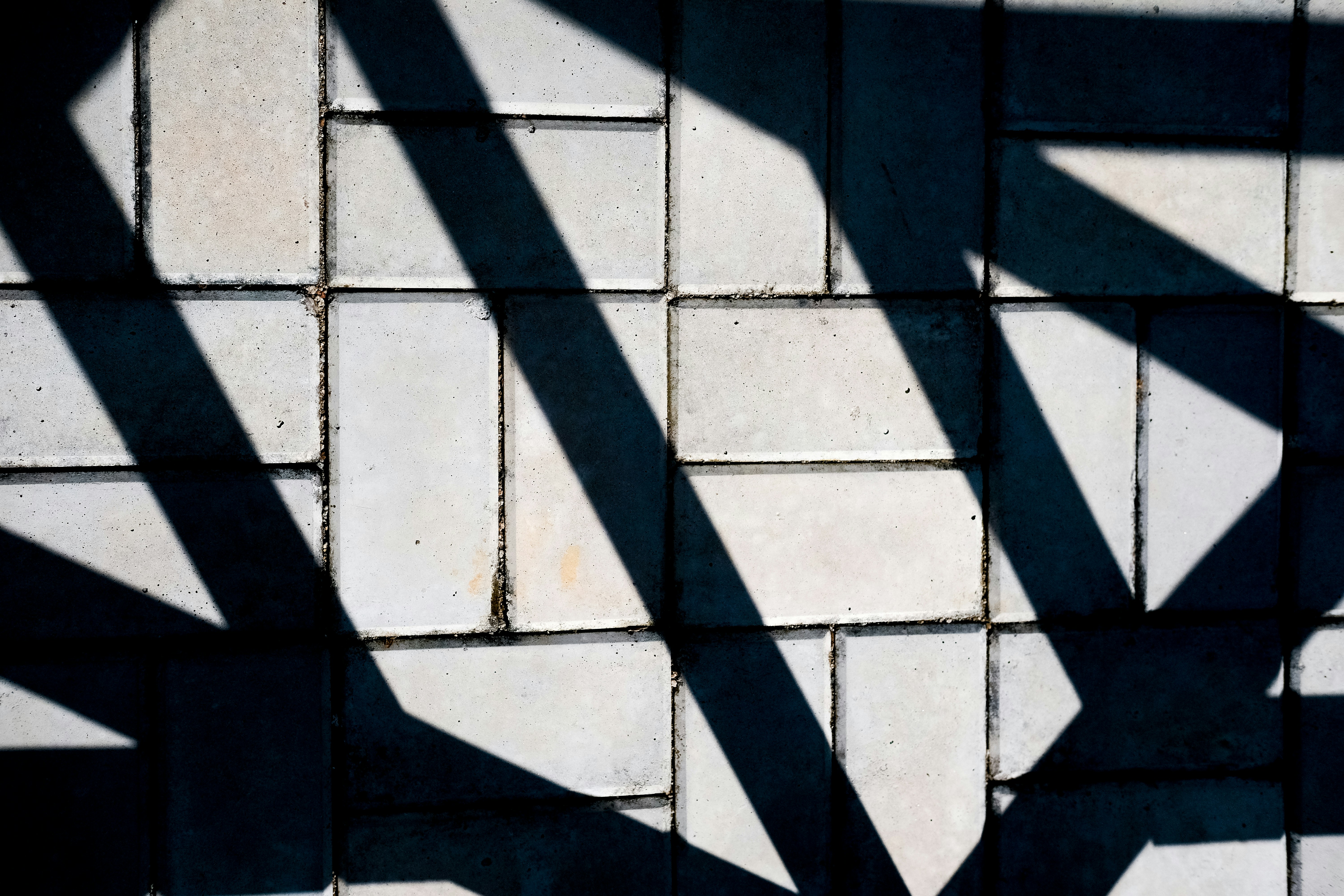 Photo by cannedstreet