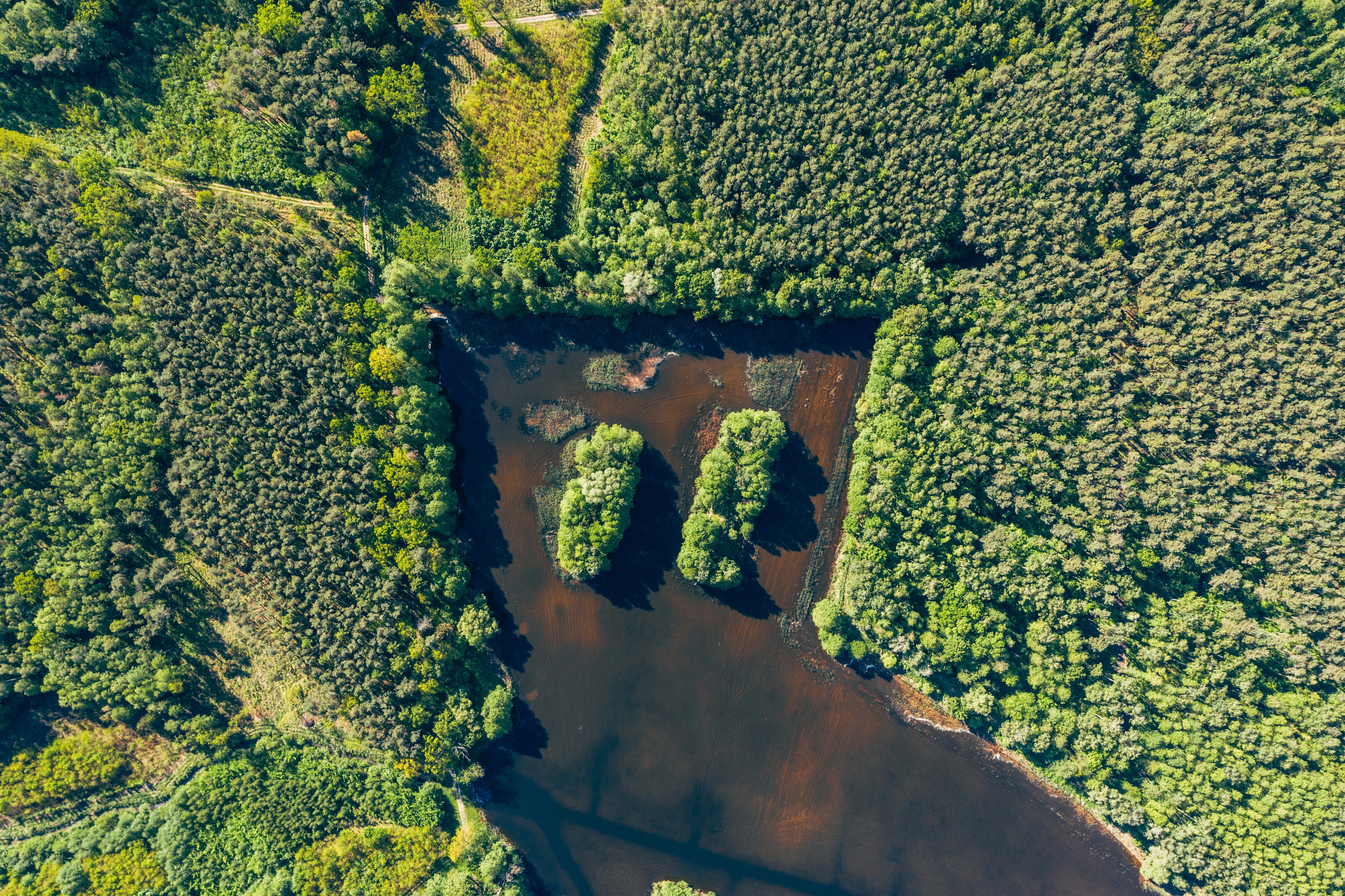 Photo by marcinjozwiak