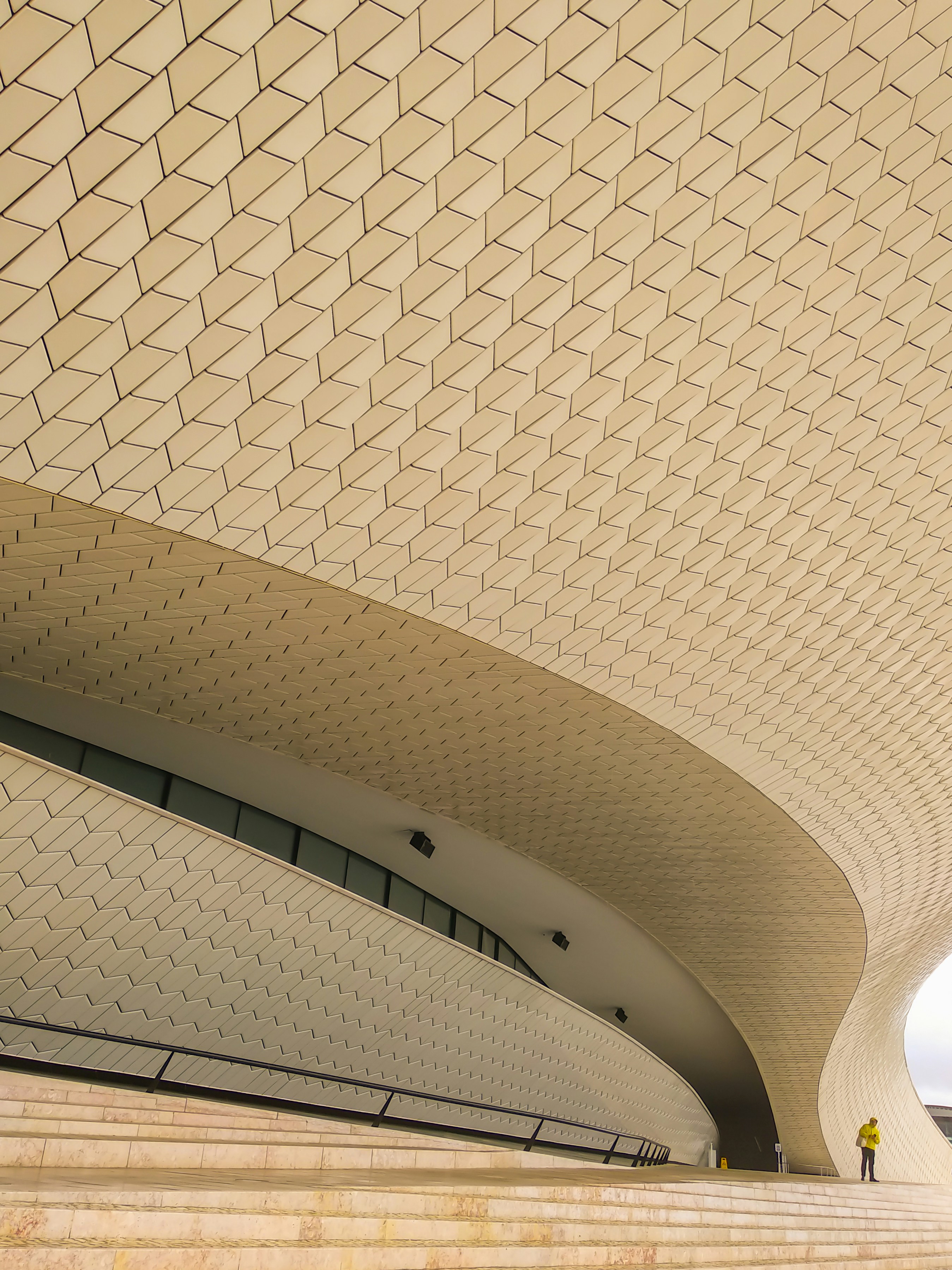 Photo by guillermofern96