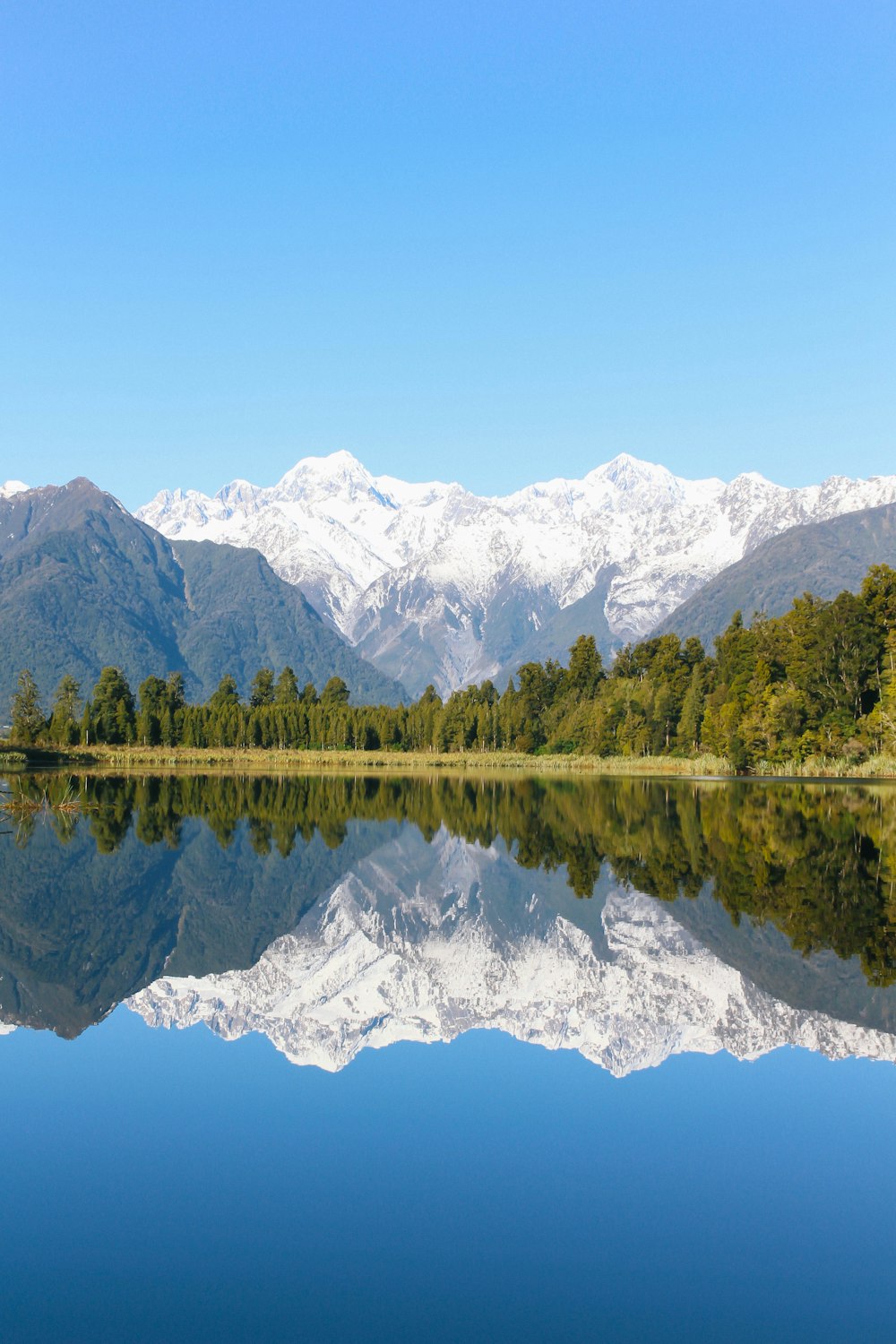 body of water with trees on side