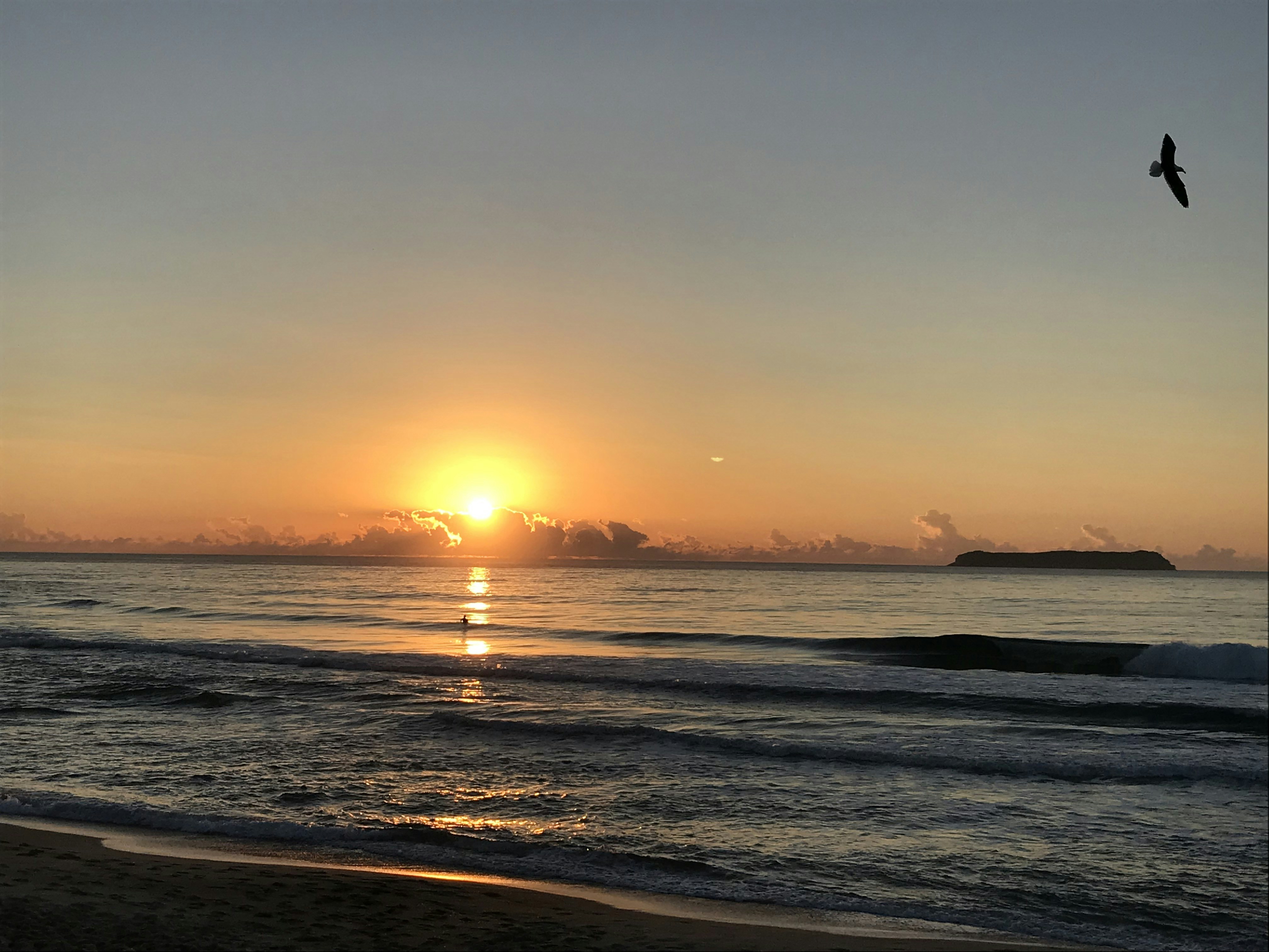 beach at sunset, Sunrise on Praia Mole Beach in Florianópolis, Santa Catarina, Brazil.