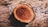 A close-up view of a tree trunk cross-section showing intricate growth rings and textures. The wood displays a rich reddish-brown center surrounded by lighter outer layers, with prominent cracks and patterns.