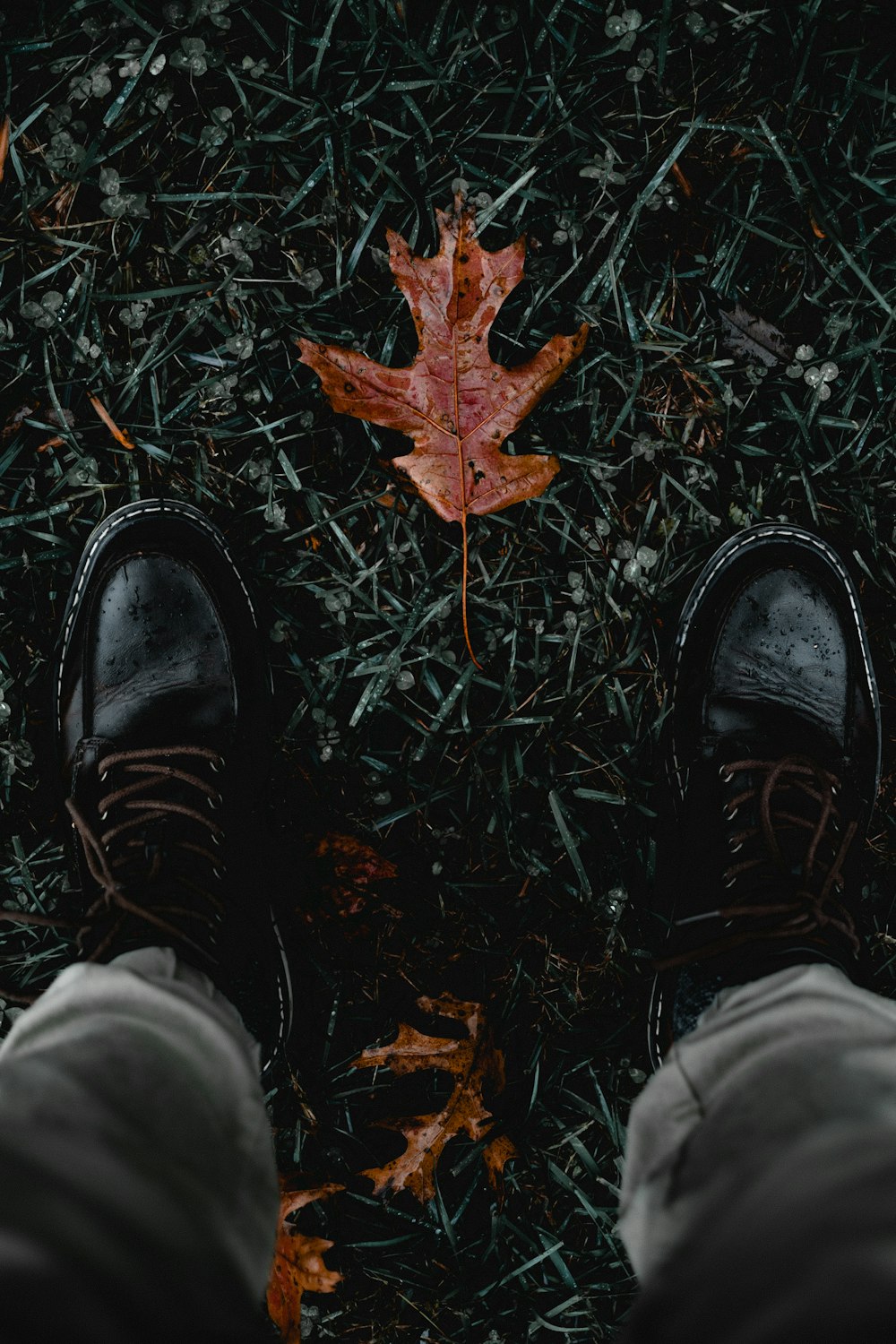 person standing near brown leaf