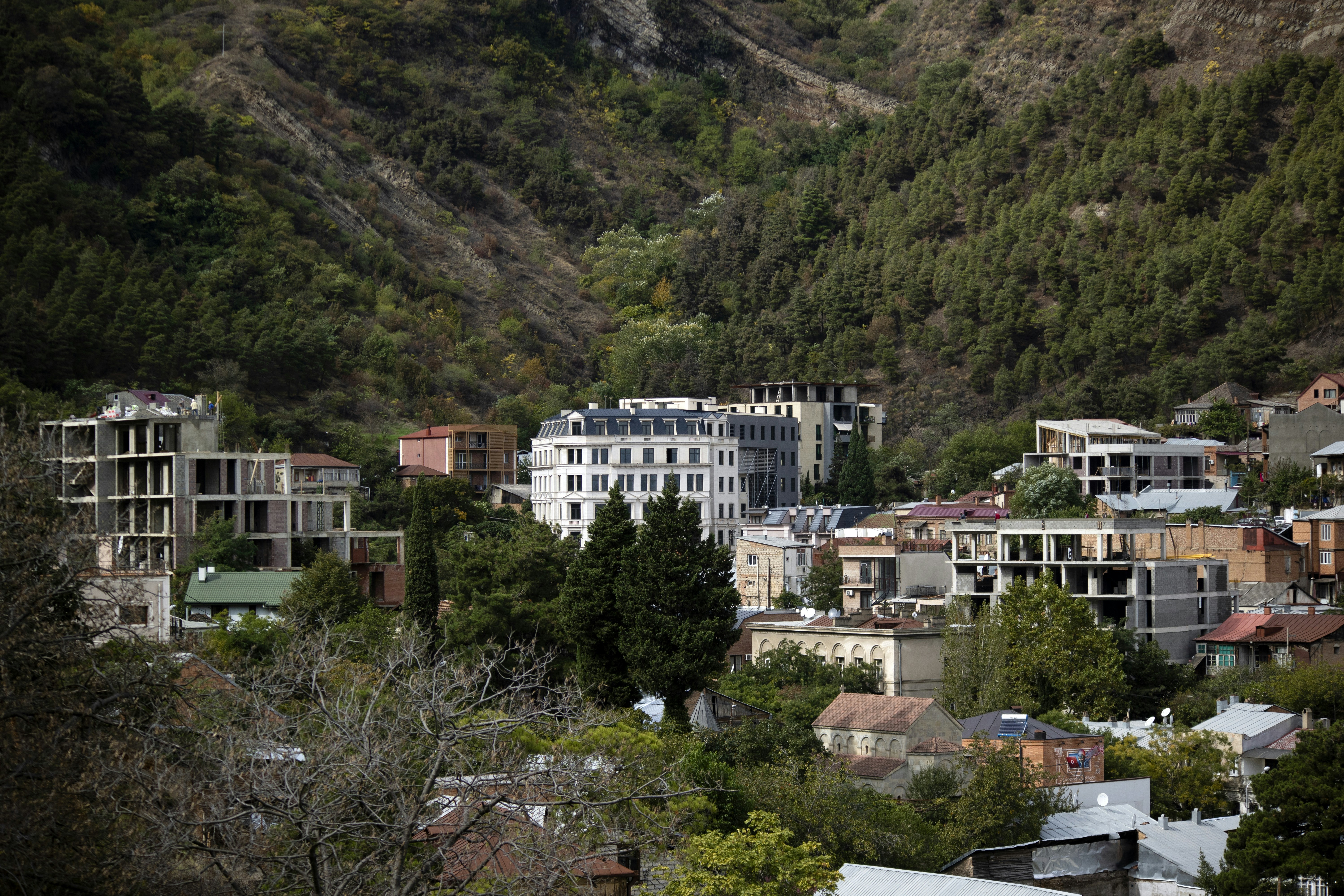 Photo by mostafa_meraji