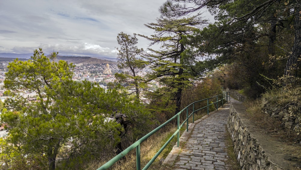 Camino marrón y gris cerca de árboles verdes