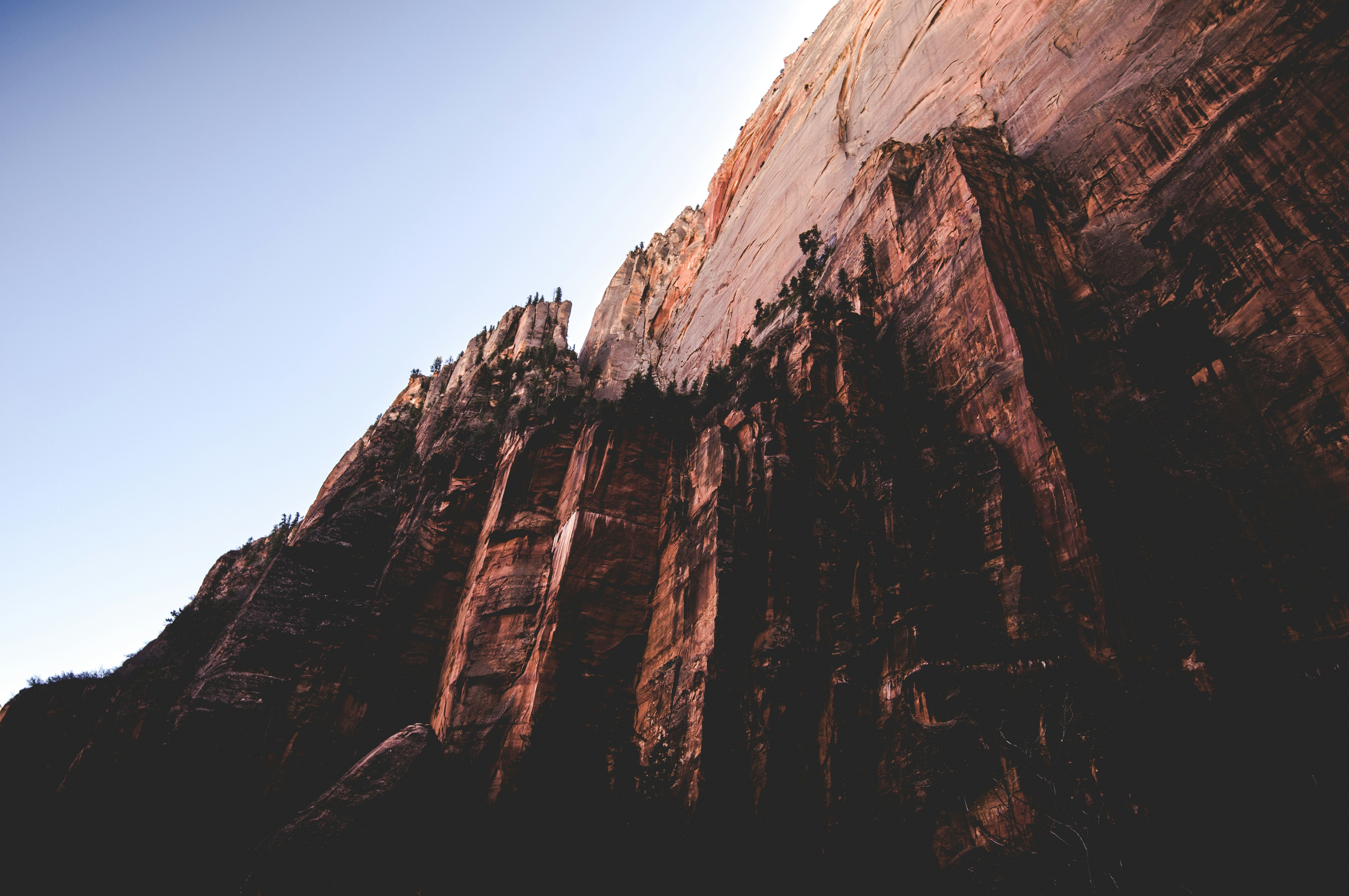 Photo by andrew_craft