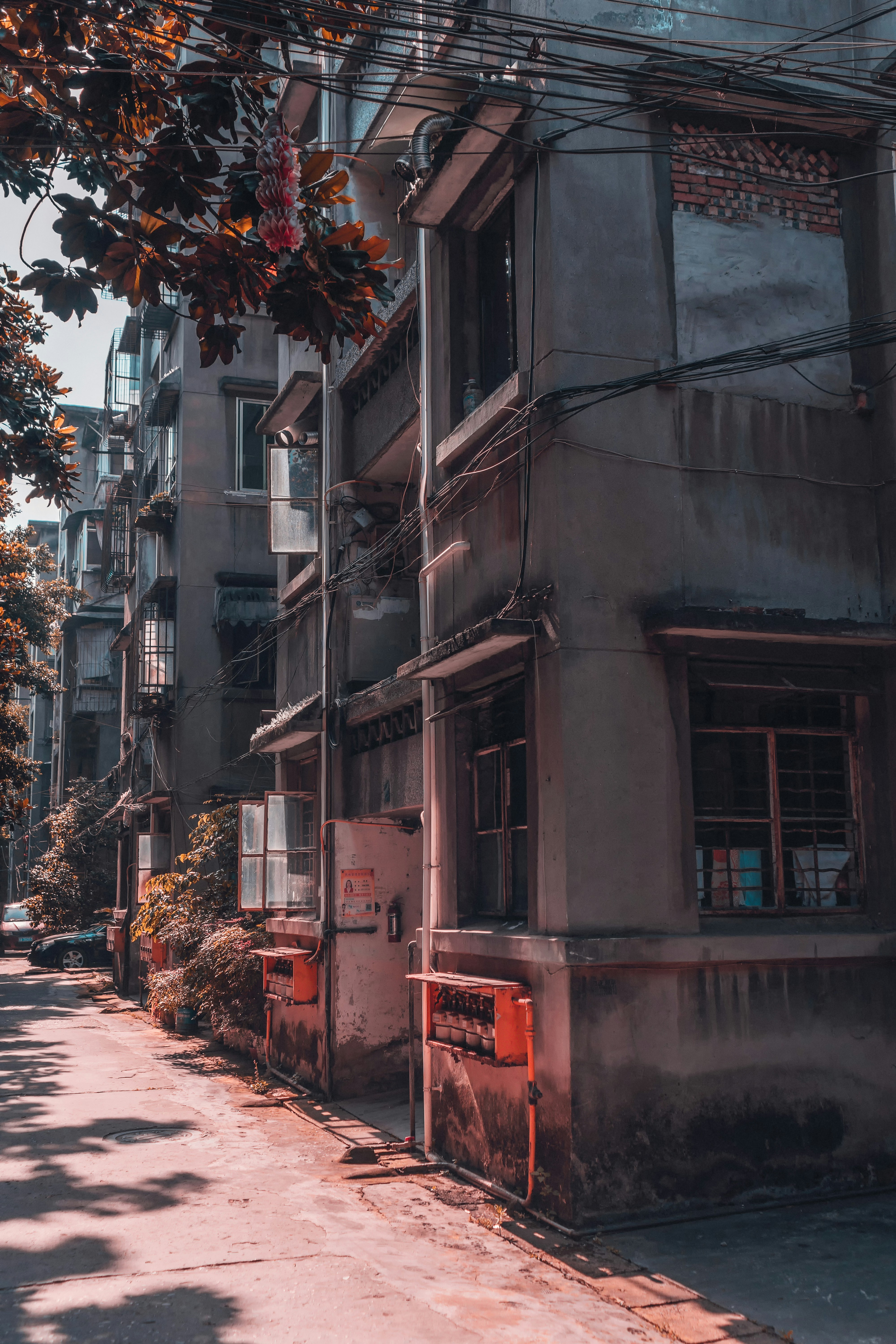 Photo by chengfengrecord