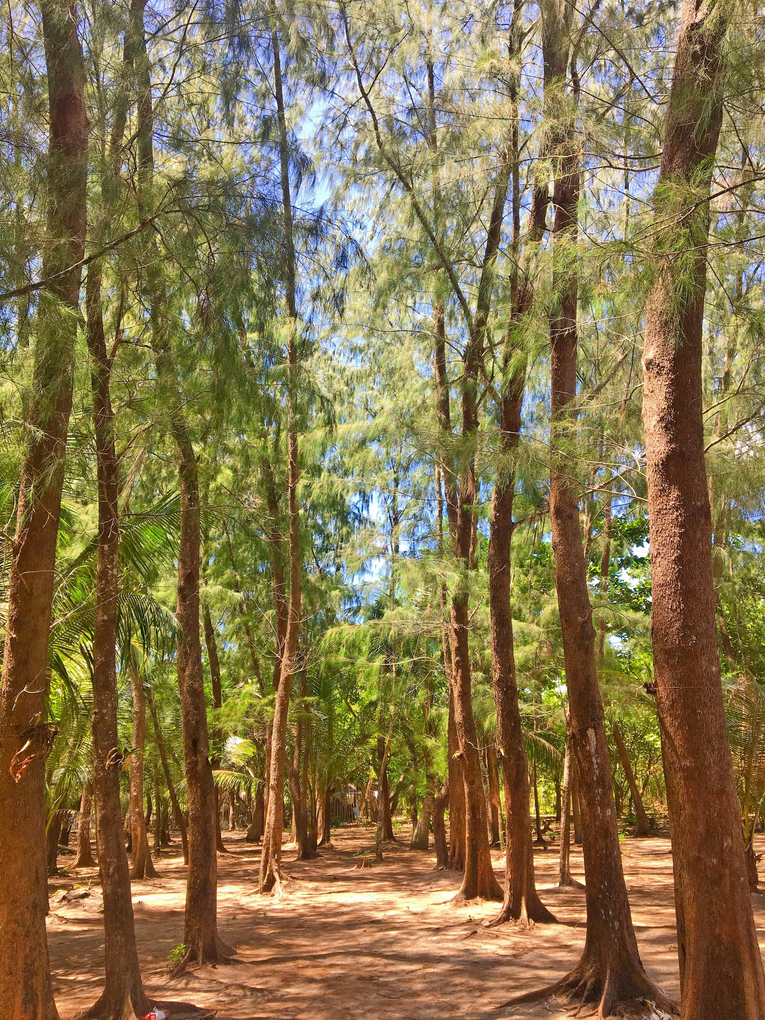 Photo by kaye_montallana