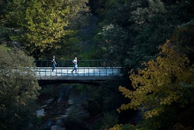 Men crossing a bridge in Georgia, USA