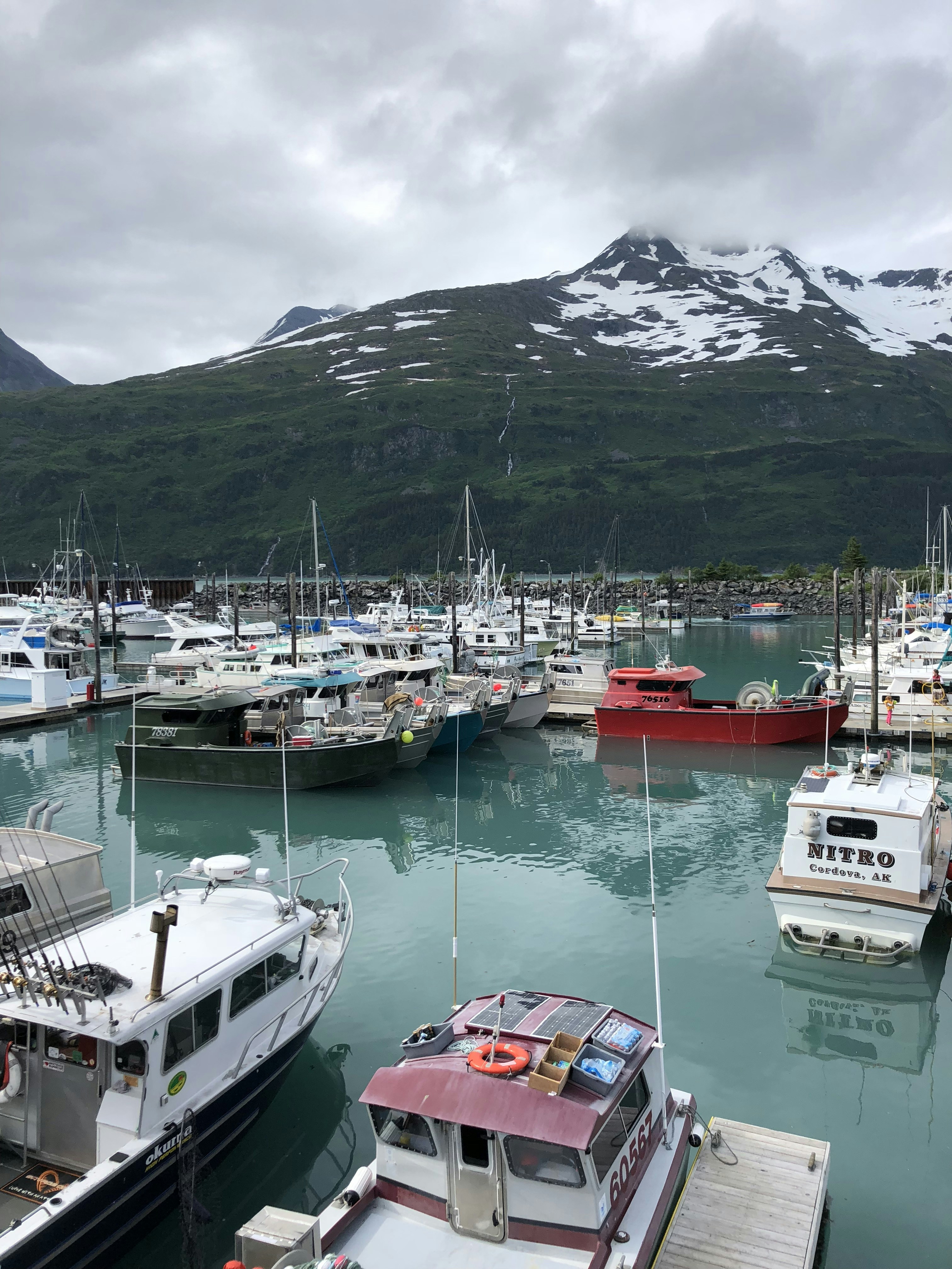 Photo by saint_louie