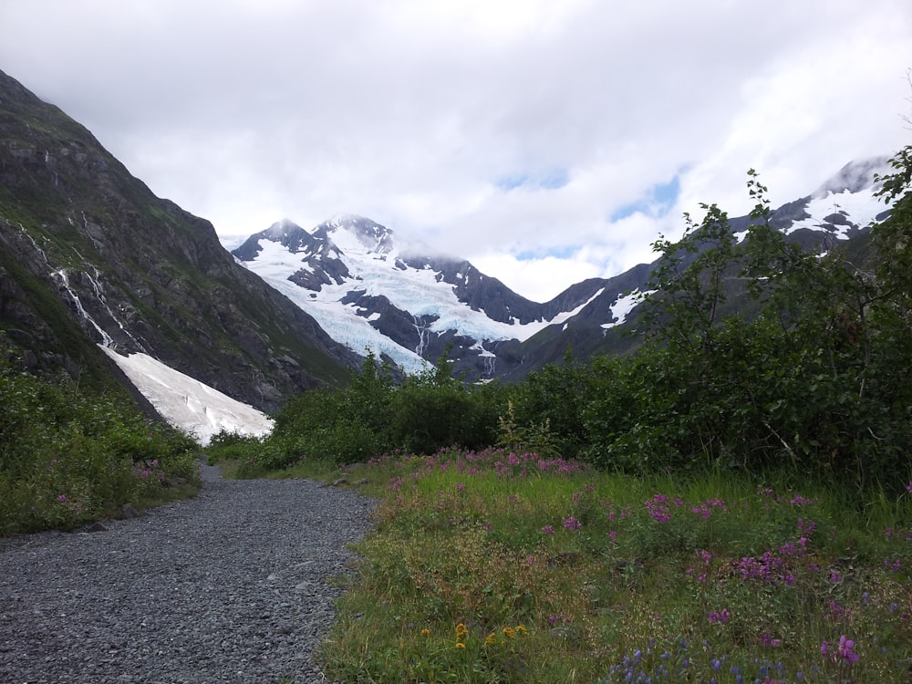 landscape photo of white and green mountains with trees