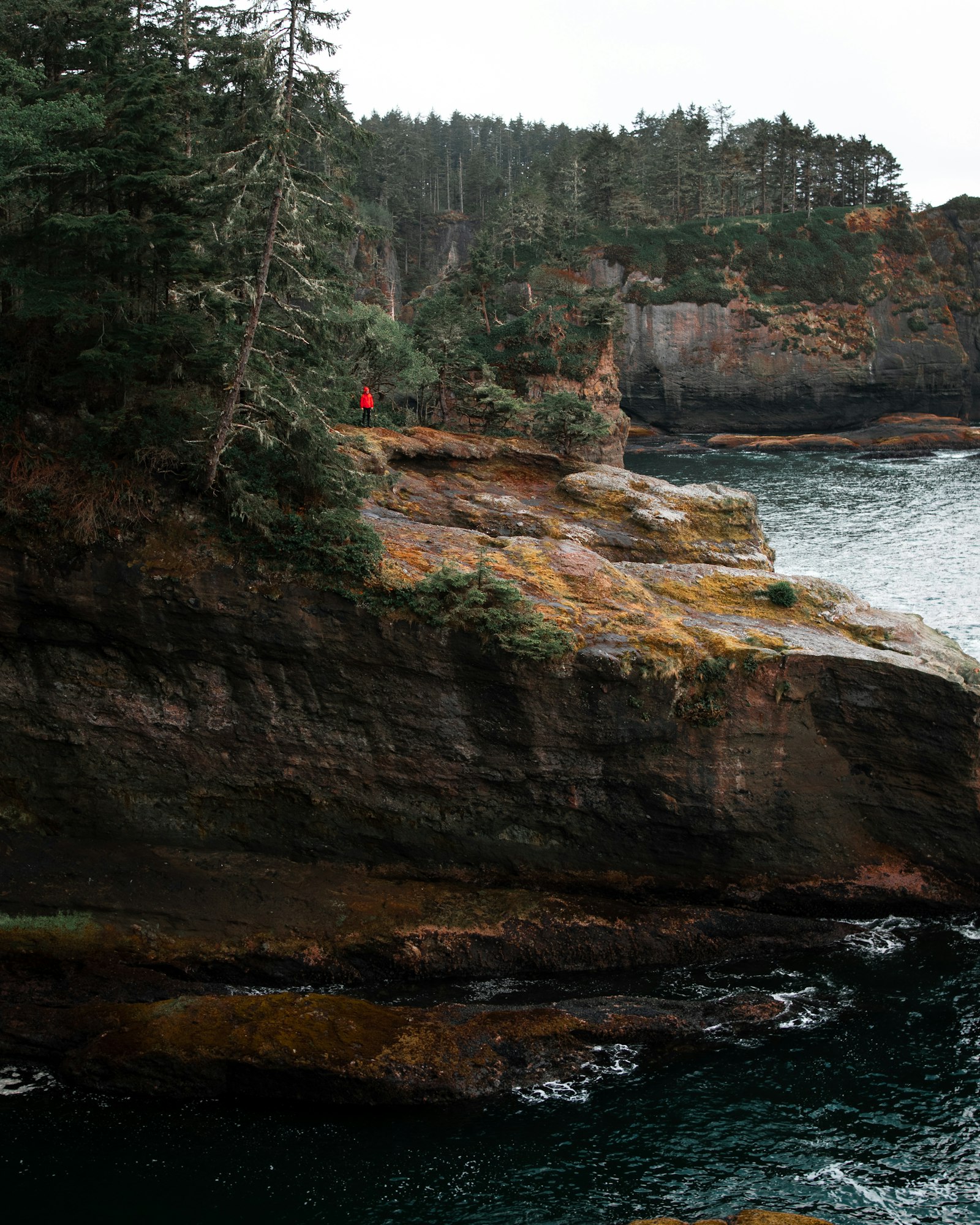 Sigma 24mm F1.4 DG HSM Art sample photo. Person in red jacket photography