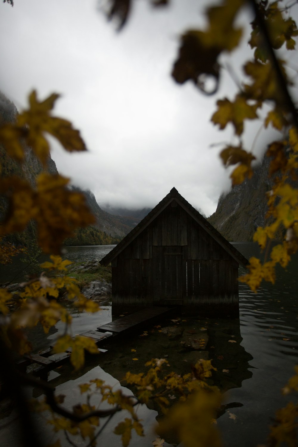 selective focus photo of wooden house on body of water