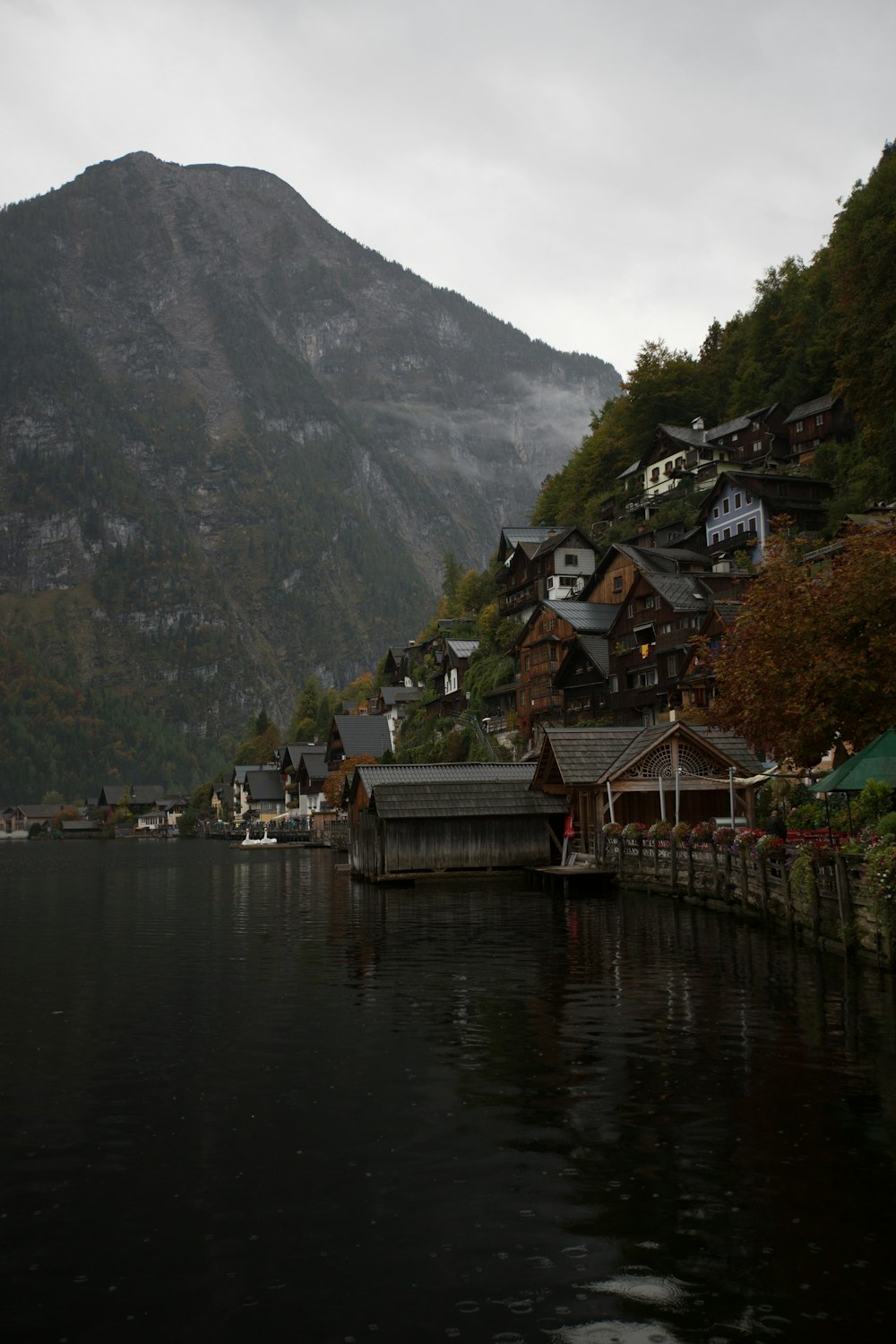 houses beside lake