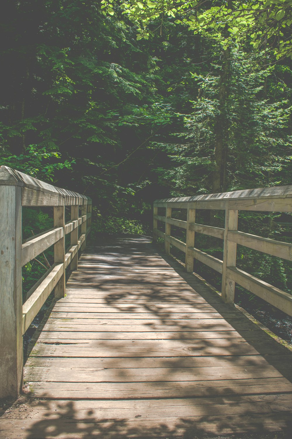 architectural photography of brown wooden bridge