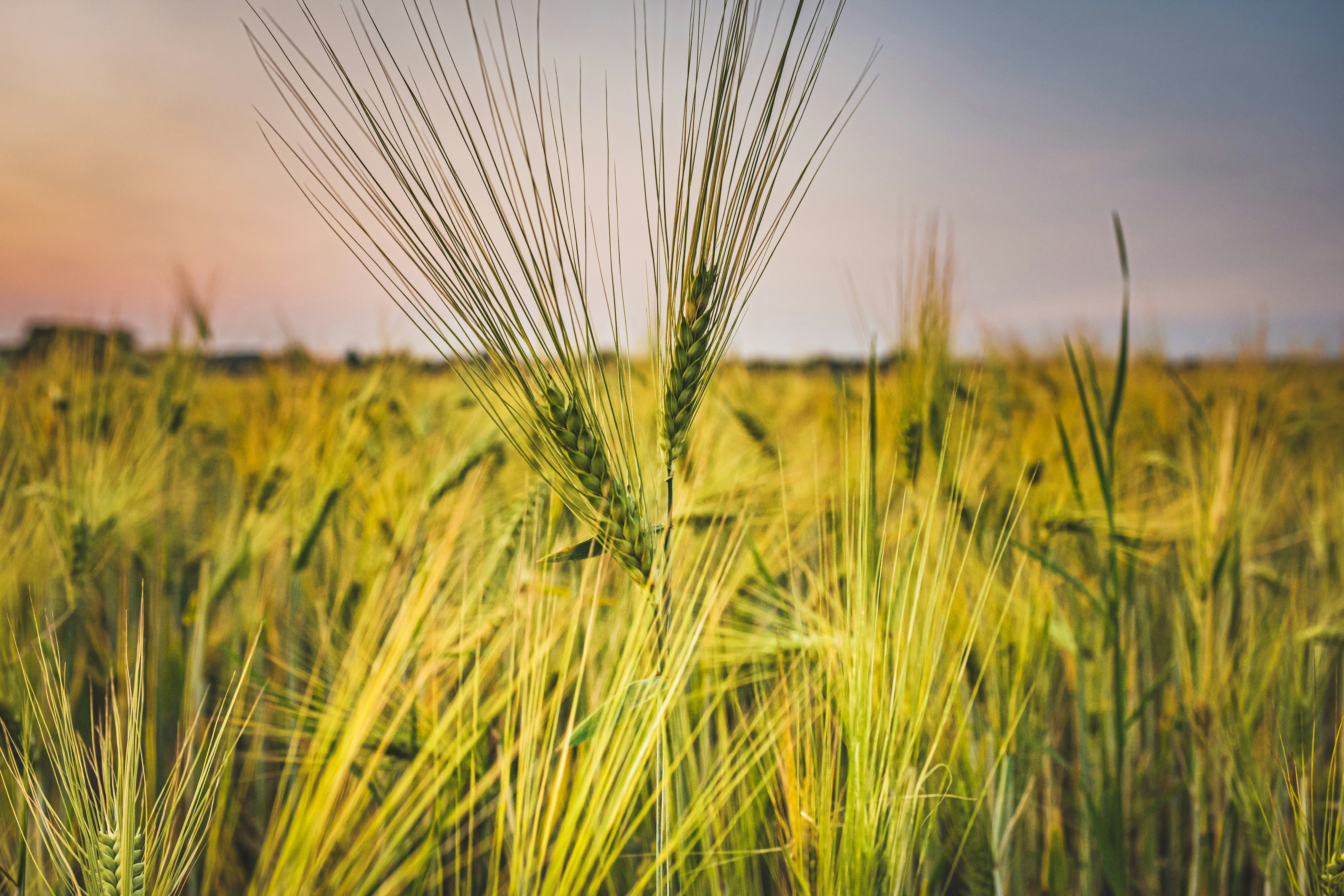 Photo by g_r_a_f_i_s_c_h