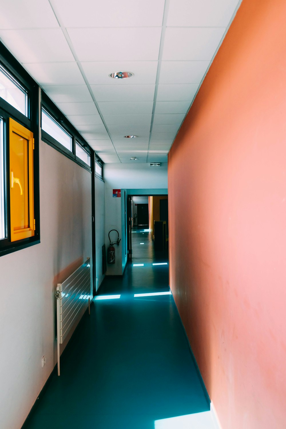 blue hallway with no people inside building